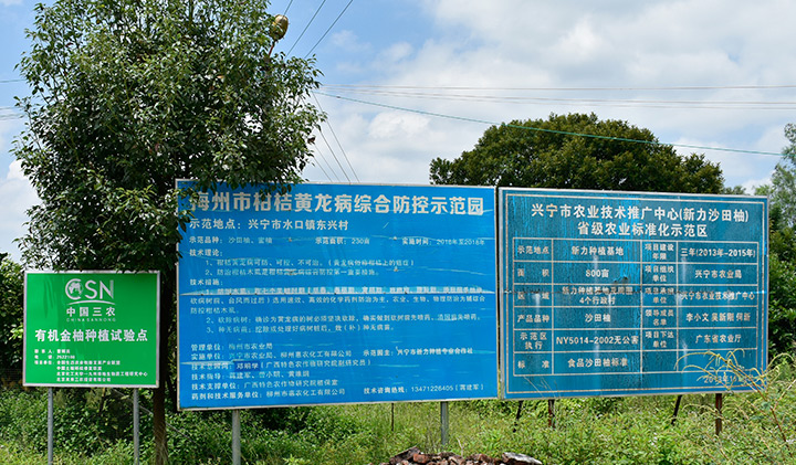 ˾ɹsdNֲI(y)硪W(wng)վС(w)